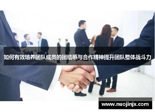 如何有效培养团队成员的团结感与合作精神提升团队整体战斗力